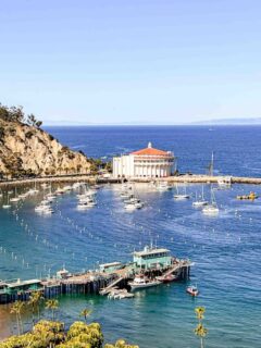 weekend-trip-to-catalina-island-itinerary-32