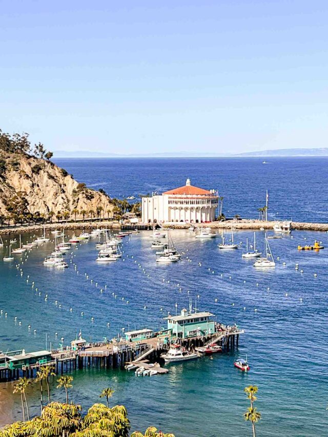 The Perfect Catalina Island Weekend Trip Itinerary